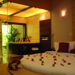 Honey Moon suite room